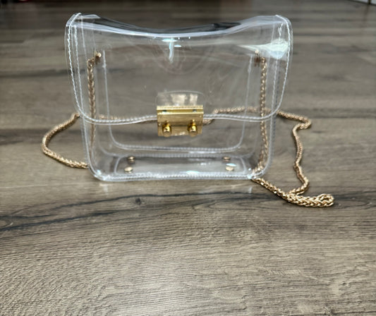 Plain Clear Purse