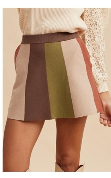 Color Block Skirt