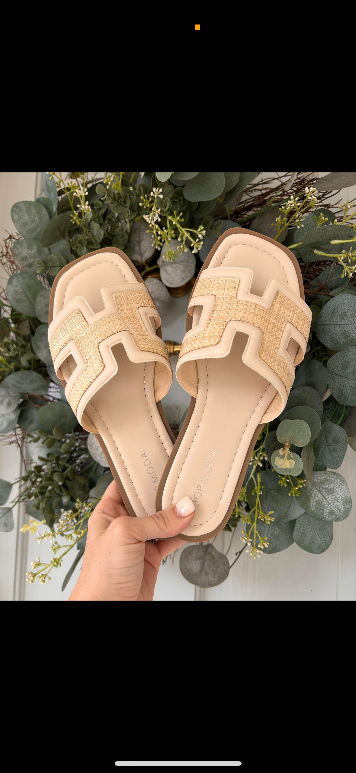 Elsa Slides